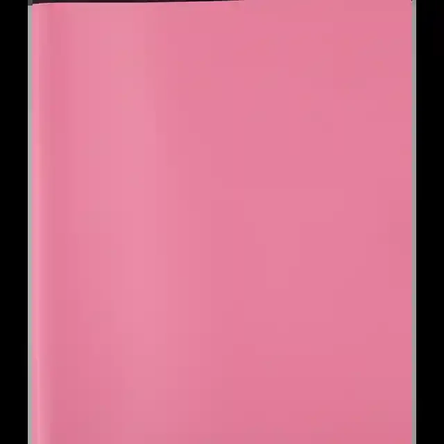 Acco Plastic Binder St Reg