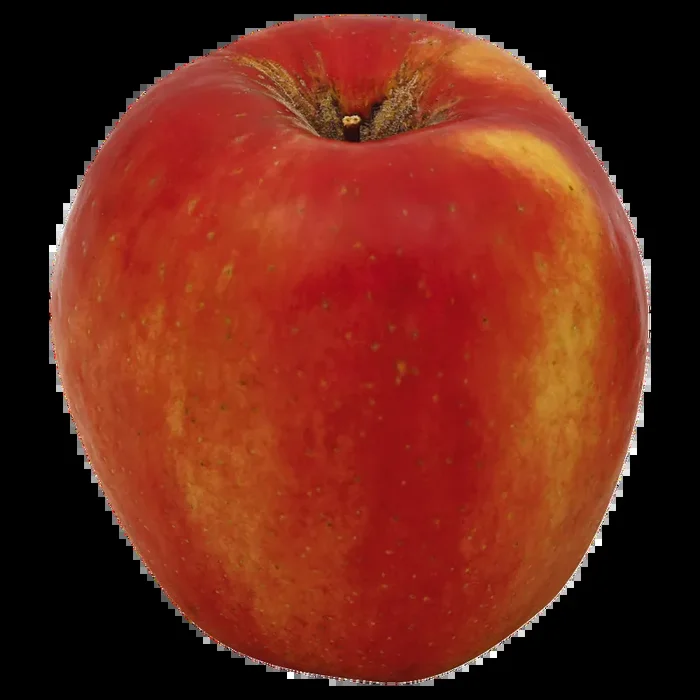 Apple SweeTango Apple