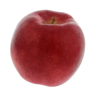 Apples Gala Tote
