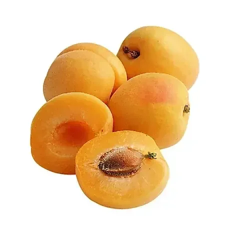 Apricots Organic – 1 Lb