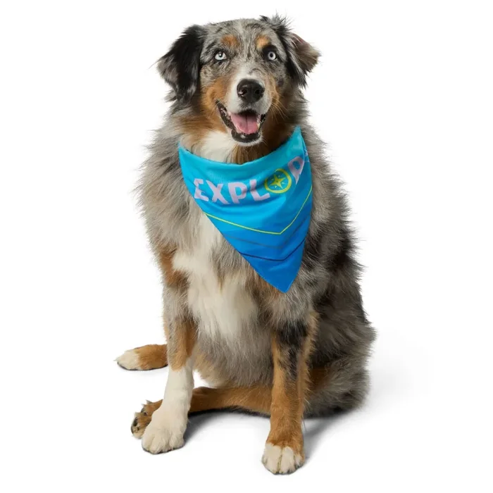 Arcadia Trail Cooling Reflective Dog Bandana