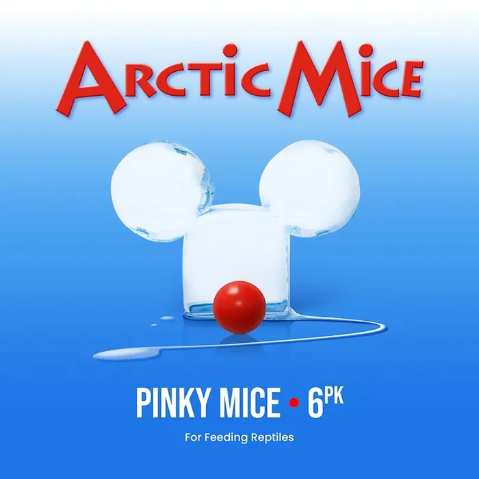 Arctic Mice Frozen Pinky Mice