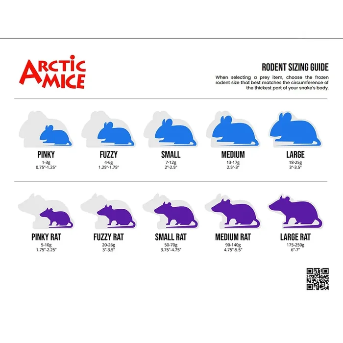Arctic Mice Large Mouse