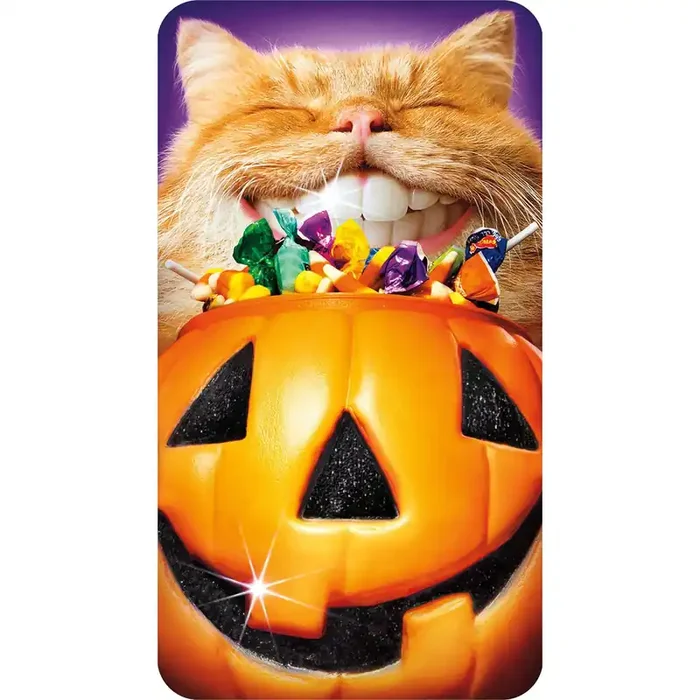 Avanti Card Halloween Cat Pumpkin Teeth