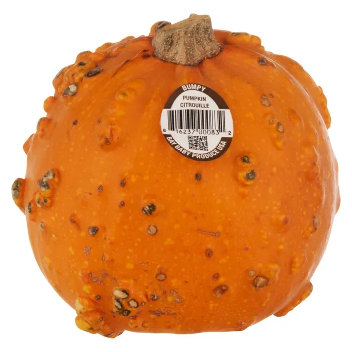 Baby Bumpy Pumpkins