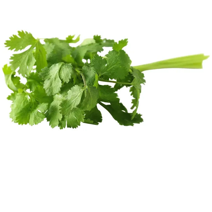 Bagged Cilantro