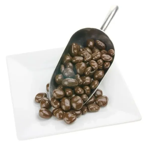 Bergin Fruit and Nut Company Chocolate Cranberries