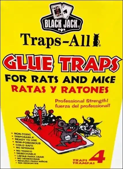 Black Jack Bj Mouse Glue Traps