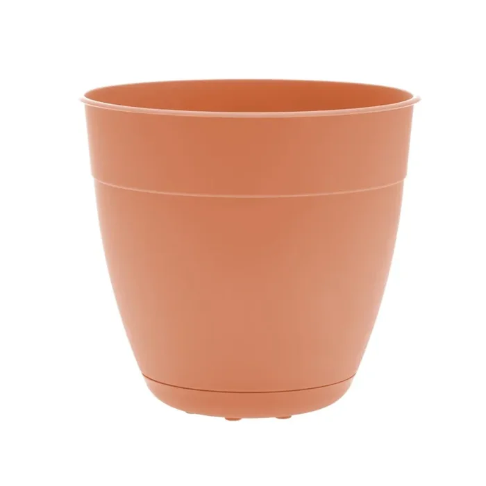 Bloem Coral Pot Dayton 8In