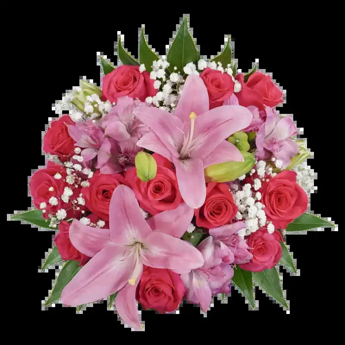 Bloom Haus 12 Plus Rose Bouquet – Hot Pink
