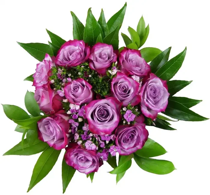Bloom Haus 12 Plus Rose Bouquet – Lavender