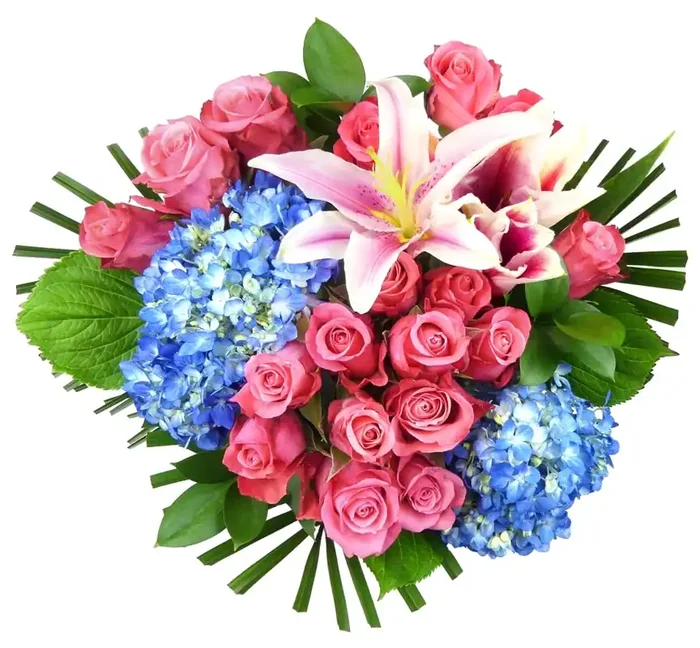 BLOOM HAUS Bloom Haus 18 Plus Rose Bouquet – Hot Pink