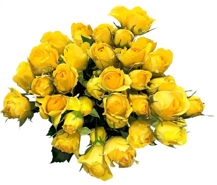 Bloom Haus Delight Rose Boquet – Yellow