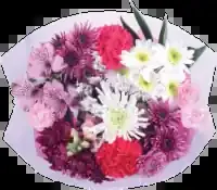 BLOOM HAUS Harmony Lavender Dream Bouquet