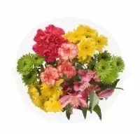 Bloom Haus Ruffle Bouquet – Green / Peach / Red