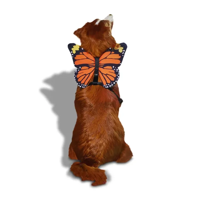 Bootique Butterfly Wing Harness Dog Costume, X-Small