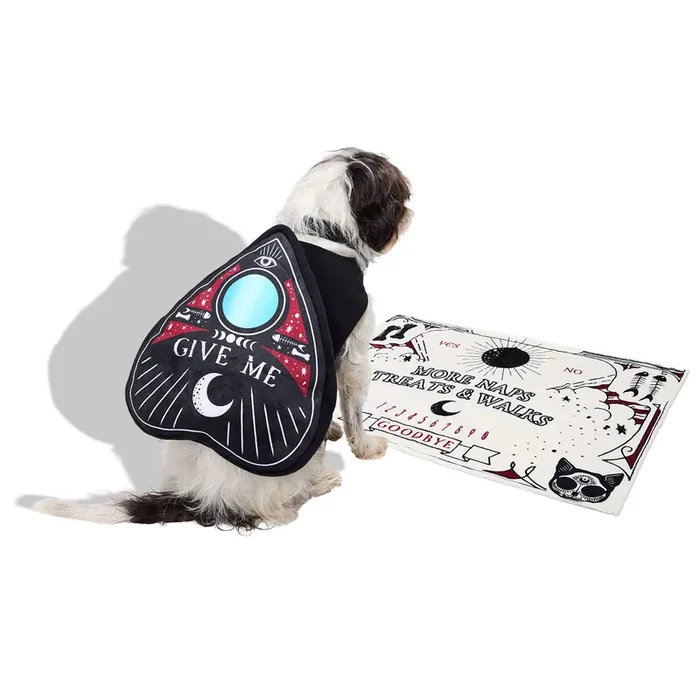 Bootique Fortune Board 2-Piece Pet Halloween Costume, Small