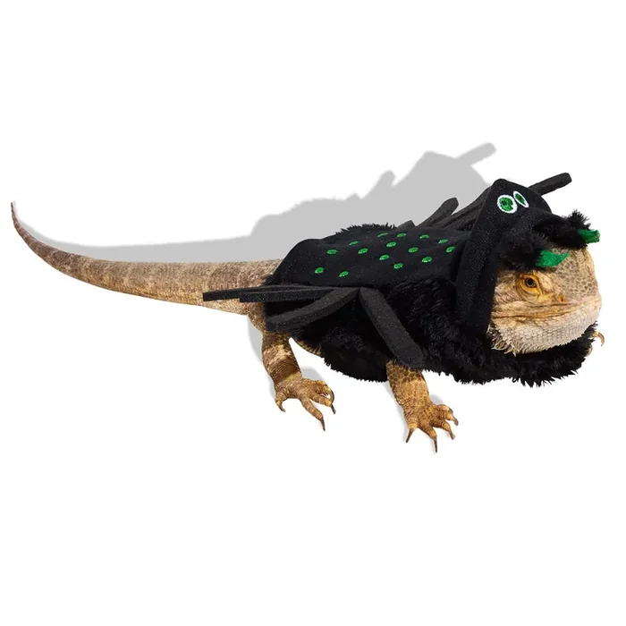 Bootique Spider Bearded Dragon Halloween Costume, XX-Small