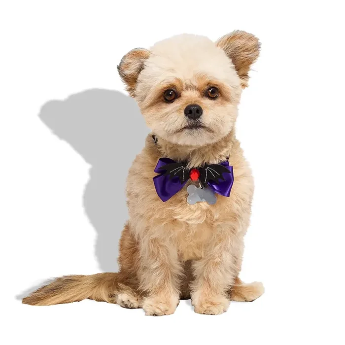 Bootique Vampire Bat Pet Bowtie