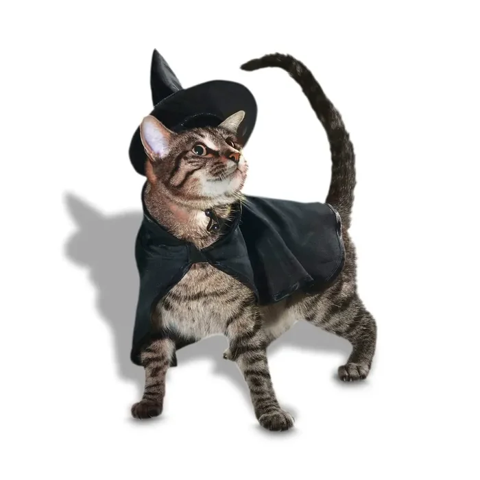 Bootique Witch 2-Piece Cat Halloween Costume, Small/Medium