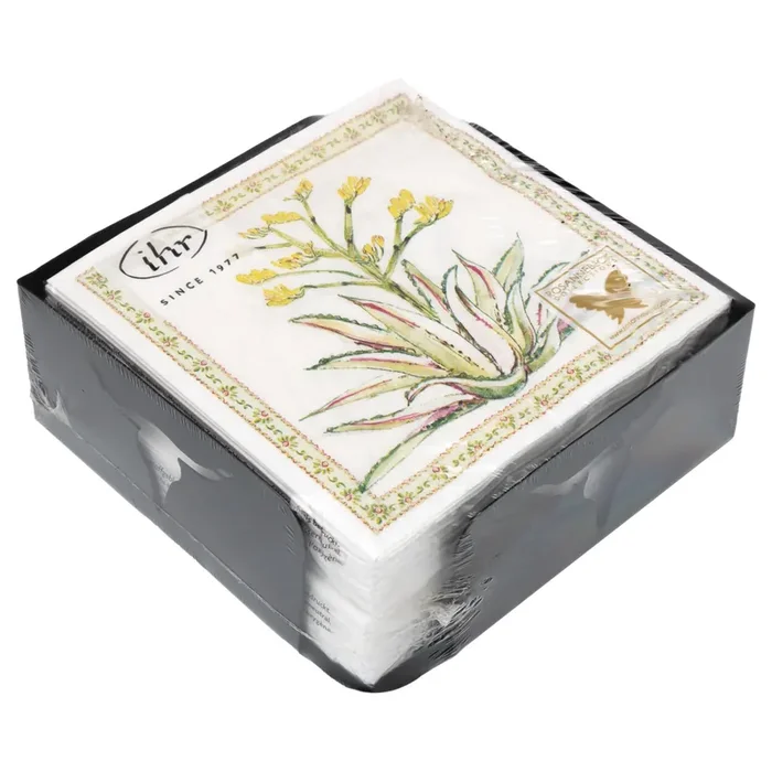 Boston International Succulents Cocktail Napkin Caddy Set