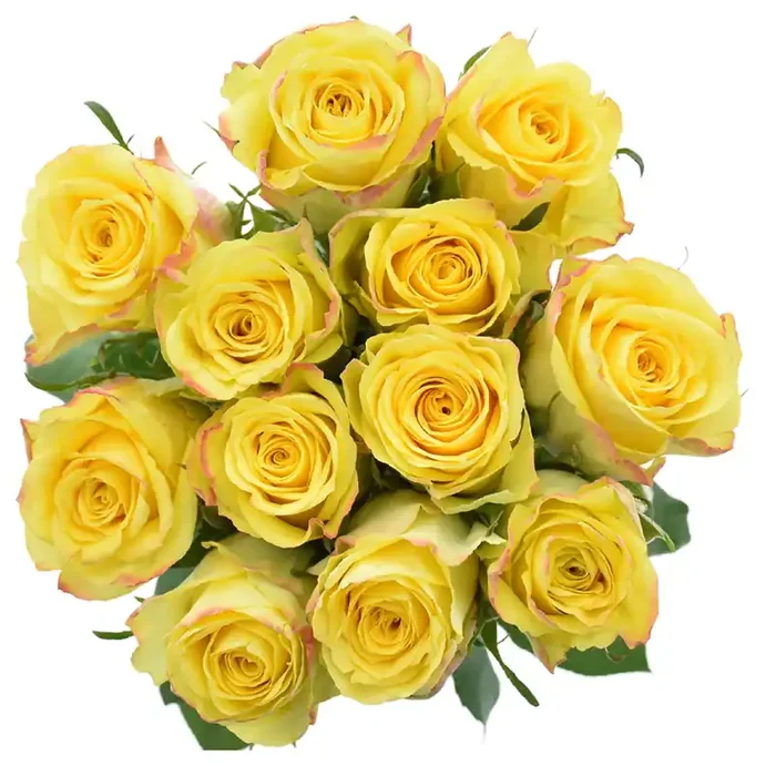 Bouque Color Roses Consumer Bunch
