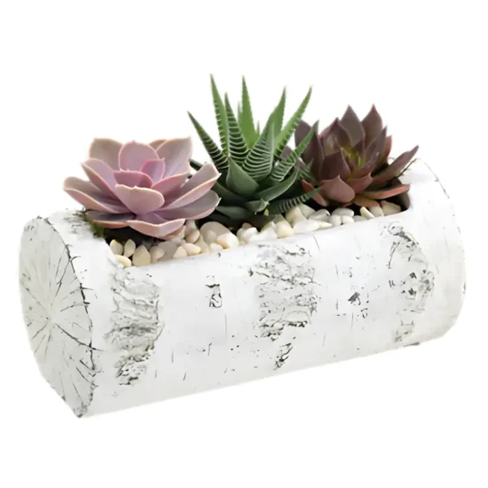Bouque Succulent Garden