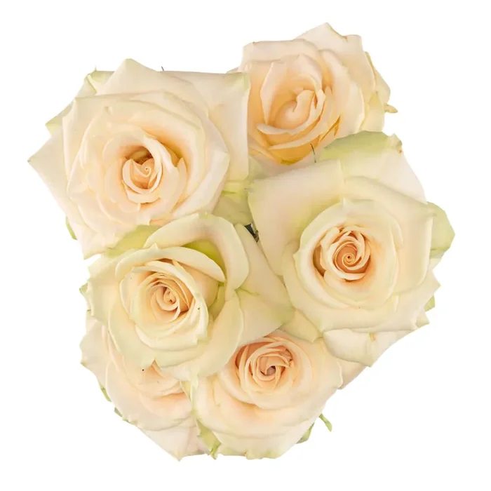 Bouquet Spray Rose Peach