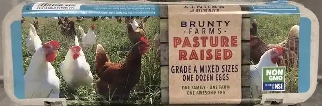 Brunty Farms Pasture Brown Eggs