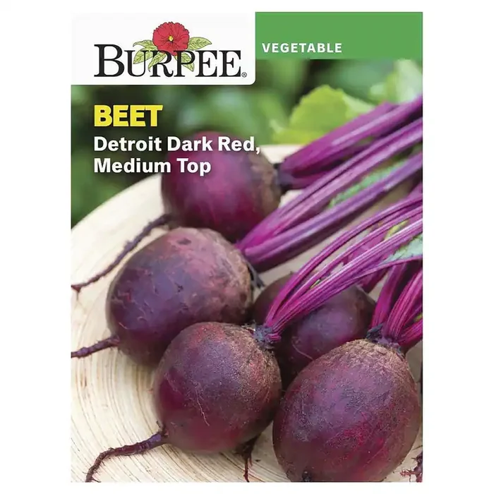 Burpee Beet Detroit Dark Red Medium Top Seeds