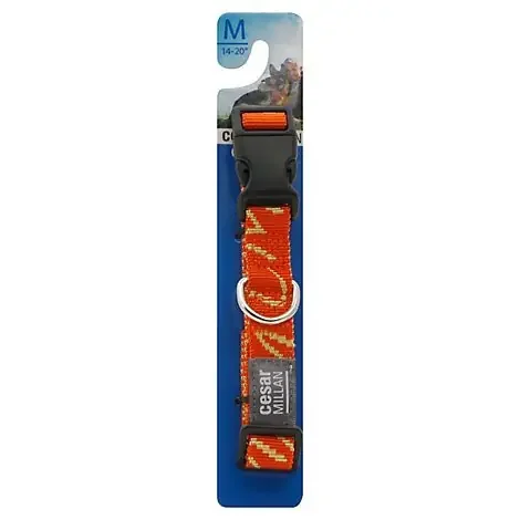Cesar Millan Collar 1 ea
