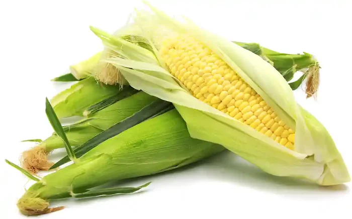 Corn Sweet Yellow