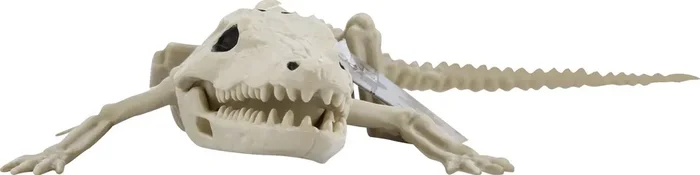 Crazy Bonez Skeleton, Baby Alligator