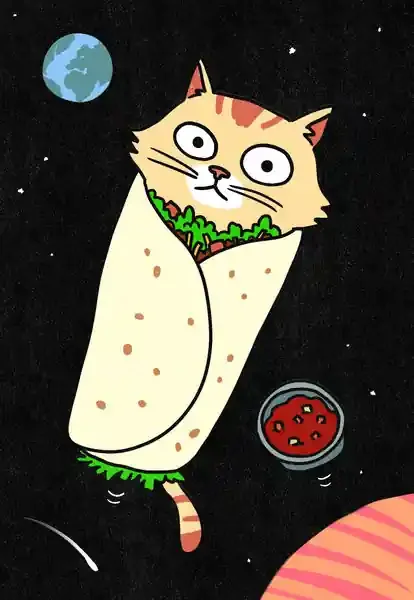 Crd Any1 Bd Enjy Burrito