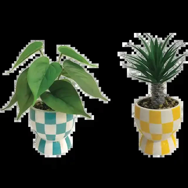 Creative Home Ceramic Plant Pot, Green