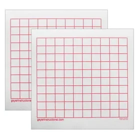 Geyer Instructional GYR151210-2 Graphng Post It Notes, 10X10 Grid (2 PK)