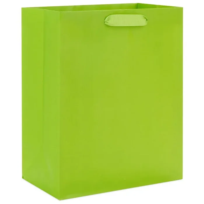 Hallmark Gift Bag for Birthdays, Graduations, Baby Showers