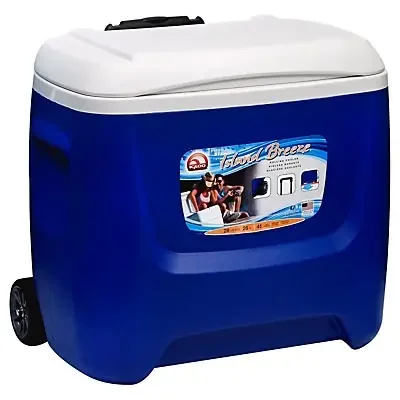 Igloo Cooler 1 ea