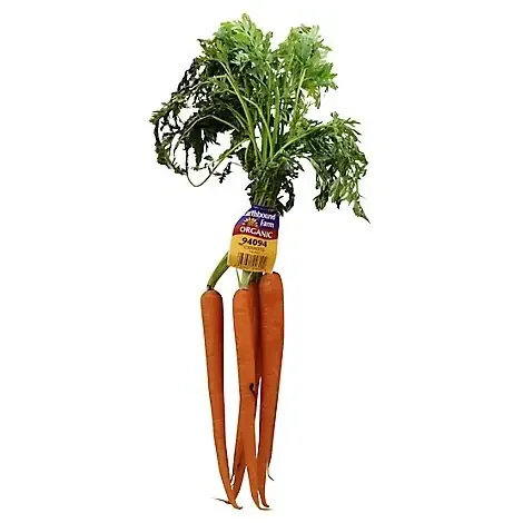 Organic Carrots – 1 Bunch