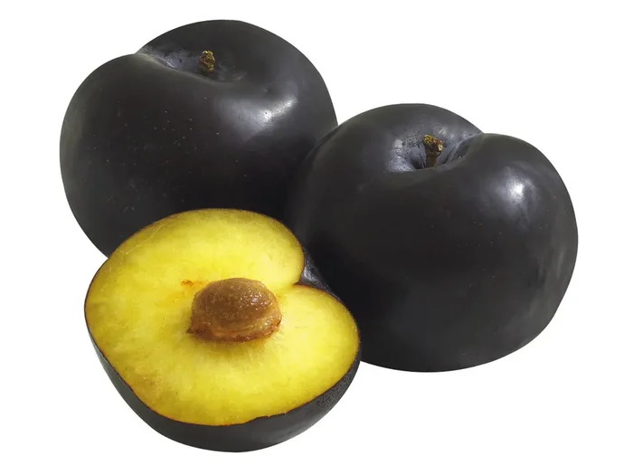 Organic Plum