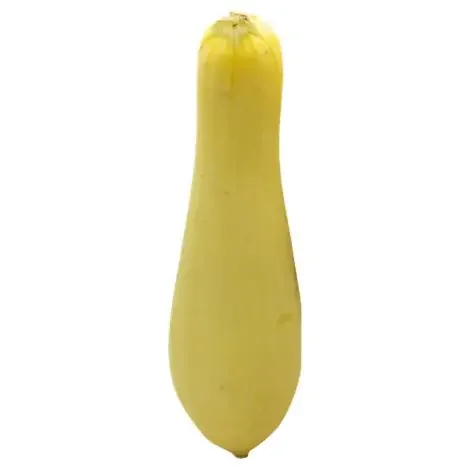 Organic Usa/Mex Squash, Yellow