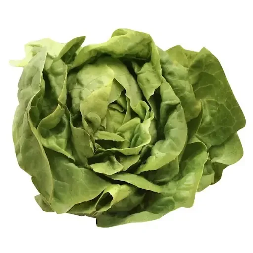 PICS Lettuce – Boston