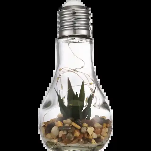 PROCACCI BROTHERS Succulent Lite Bulb Led String Lite