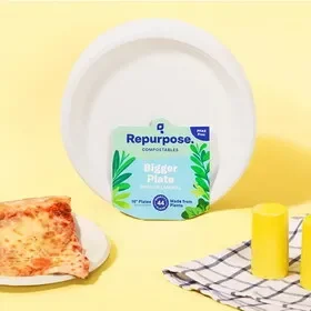 Repurpose Compostable 10″ Dinner Plates 44 count