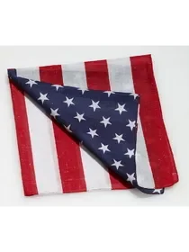 Ruby Slipper Sales 71862 Red White & Blue Bandana – NS