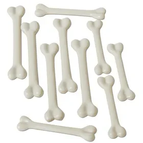 Ruby Slipper Sales 923 Bag ‘O Bones – NS