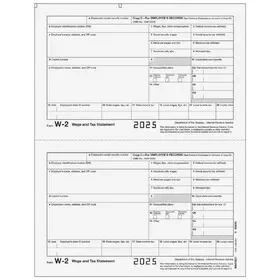 Super Forms BW2EEC05 – Form W-2 Employee Record, Copy C, Price/EA