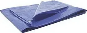 Wilmar PMW6006 Protective Tarp Size 10×12